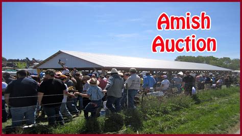 Contact Agent. . Amish auction scottsville kentucky 2022